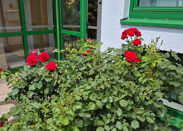 Lindenthal 호텔 라이프치히